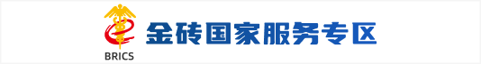 金砖国家服务专区专窗